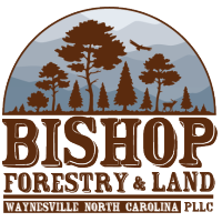 Bishop Forestry and Land, PLLC. logo, Bishop Forestry and Land, PLLC. contact details