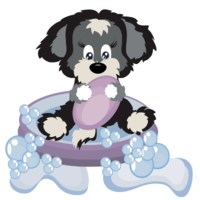 Northern and Western Mobile Dogwash logo, Northern and Western Mobile Dogwash contact details