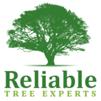 Lincoln Tree Service logo, Lincoln Tree Service contact details