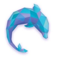 Dolphin Blockchain Intelligence logo, Dolphin Blockchain Intelligence contact details