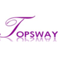 Dongguan Topsway Industrial Co.,Ltd logo, Dongguan Topsway Industrial Co.,Ltd contact details