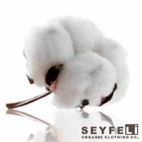 Seyfeli Textile logo, Seyfeli Textile contact details