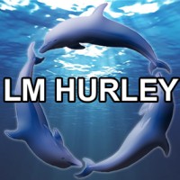 LM Hurley & Associates Executive Recruiting logo, LM Hurley & Associates Executive Recruiting contact details