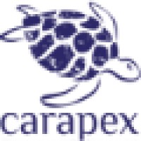 Carapex logo, Carapex contact details