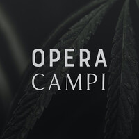 OPERA CAMPI logo, OPERA CAMPI contact details