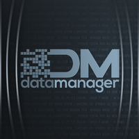 Datamanager Consultoria logo, Datamanager Consultoria contact details