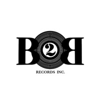 B2B RECORDS INCORPORATED logo, B2B RECORDS INCORPORATED contact details