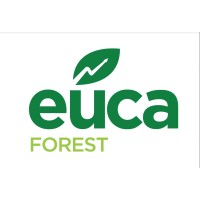 Eucaforest Srl logo, Eucaforest Srl contact details