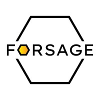 Forsage CZ logo, Forsage CZ contact details