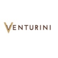 Venturini Footwear India Pvt. Ltd. logo, Venturini Footwear India Pvt. Ltd. contact details