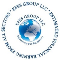 EFES GROUP LLC logo, EFES GROUP LLC contact details