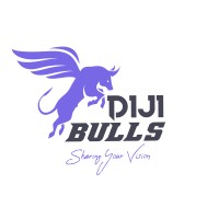 Dijibulls logo, Dijibulls contact details