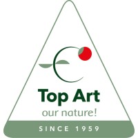 Top Art International logo, Top Art International contact details