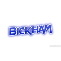 Bikham Information Tech logo, Bikham Information Tech contact details