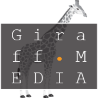 Giraff Vision AS logo, Giraff Vision AS contact details