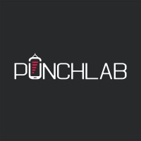 PunchLab logo, PunchLab contact details