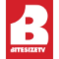 BiteSize Networks logo, BiteSize Networks contact details