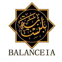 Balanceia Intelligent Applications DMCC logo, Balanceia Intelligent Applications DMCC contact details