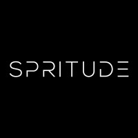 Spiritude LLC logo, Spiritude LLC contact details