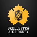 Skelleftea AIK logo, Skelleftea AIK contact details