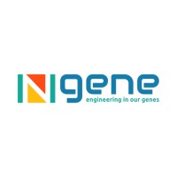 Ngene logo, Ngene contact details