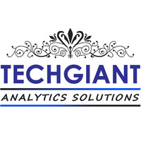 TECHGIANT ANALYTICS SOLUTIONS LLP logo, TECHGIANT ANALYTICS SOLUTIONS LLP contact details