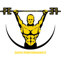 DASH PERFORMANCE logo, DASH PERFORMANCE contact details