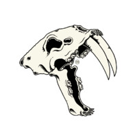 SABERTOOTH logo, SABERTOOTH contact details