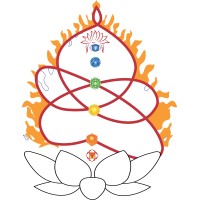 Yoga Vini logo, Yoga Vini contact details