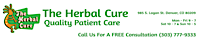 The Herbal Cure logo, The Herbal Cure contact details