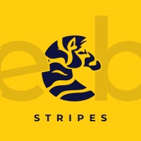 ZeebraStripes Studios LLP logo, ZeebraStripes Studios LLP contact details