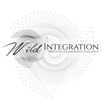 Wild Integration logo, Wild Integration contact details