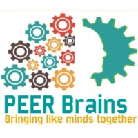 PeerBrains Technologies logo, PeerBrains Technologies contact details