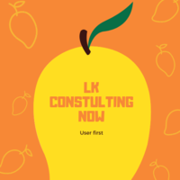 LK Consulting Now, LLC logo, LK Consulting Now, LLC contact details