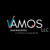 VAMOS LLC logo, VAMOS LLC contact details