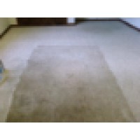 maximum carpet cleaning logo, maximum carpet cleaning contact details