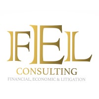 FEL Consulting logo, FEL Consulting contact details