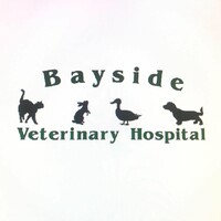 Bayside Veterinary Hospital logo, Bayside Veterinary Hospital contact details