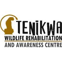 Tenikwa Wildlife Rehabilitation and Awareness Centre NPO logo, Tenikwa Wildlife Rehabilitation and Awareness Centre NPO contact details