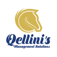 Qellini's Management Solutions logo, Qellini's Management Solutions contact details