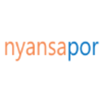 Nyansapor Analytics logo, Nyansapor Analytics contact details