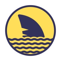 Yellow Shark Digital logo, Yellow Shark Digital contact details