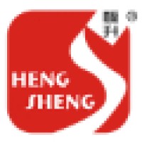 Henan Hengsheng Crane Co., Ltd logo, Henan Hengsheng Crane Co., Ltd contact details