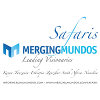 Merging Mundos Safaris logo, Merging Mundos Safaris contact details