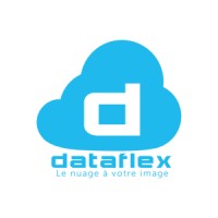 Dataflex.pro logo, Dataflex.pro contact details