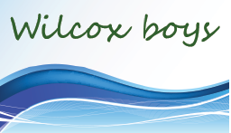 Wilcox Furniture logo, Wilcox Furniture contact details