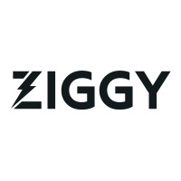 ZIGGY âš¡ï¸ logo, ZIGGY âš¡ï¸ contact details