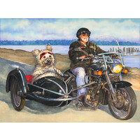 The Sidecar Inn Bed & Breakfast logo, The Sidecar Inn Bed & Breakfast contact details