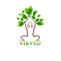 Vikved Health Solution Private Limited logo, Vikved Health Solution Private Limited contact details