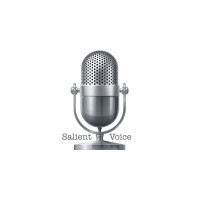 SalientVoice Ventures, LLC logo, SalientVoice Ventures, LLC contact details